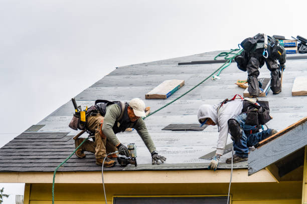 Professional Gutter Installation technician working in Crystal Lake, FL